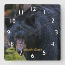 Black Bear Dignity
