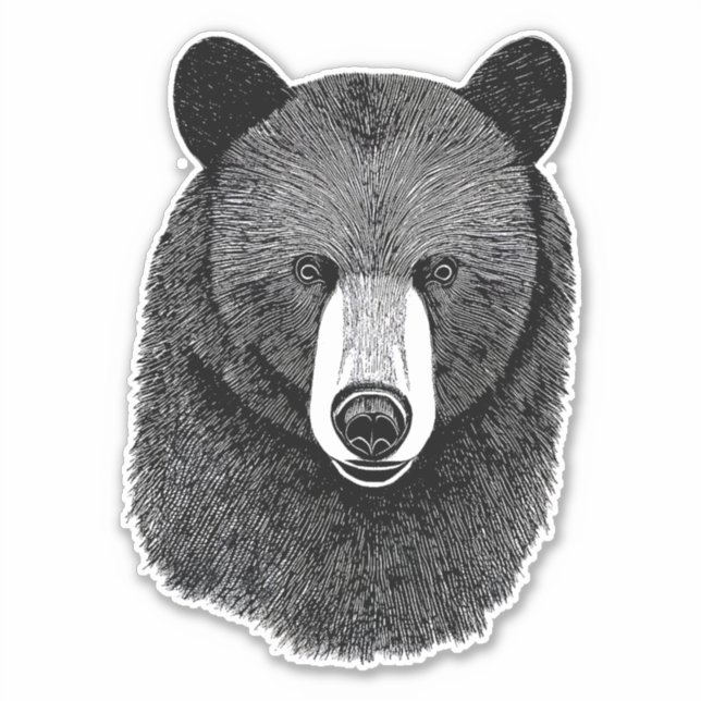 Black Bear Face original Animal art drawing   (Front)