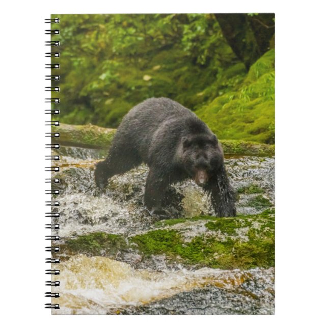 Black Bear Fishing | Qua Creek British Columbia Notebook (Front)