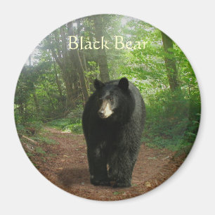 BLACK BEAR Forest Nature Magnet