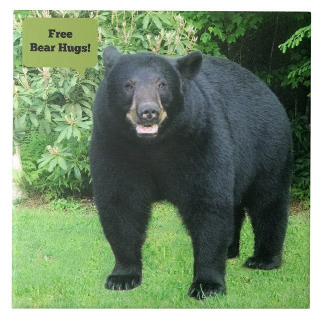 Black Bear - "Free Bear Hugs-Cubby the Black Bear" Tile (Front)