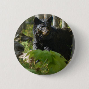 Black Bear Hiding in Forest Wildlife Photo 6 Cm Round Badge