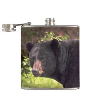 Black Bear Hip Flask
