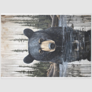 Black Bear in a River Portrait Decoupage Tissue Paper
