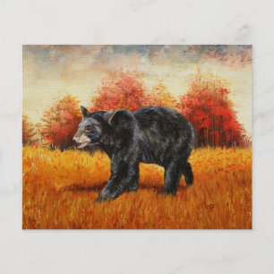 Black Bear in Autumn Forest
