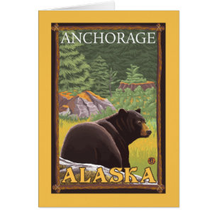 Black Bear in Forest - Anchorage, Alaska
