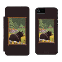 Black Bear in Forest - Idaho