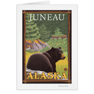 Black Bear in Forest - Juneau, Alaska