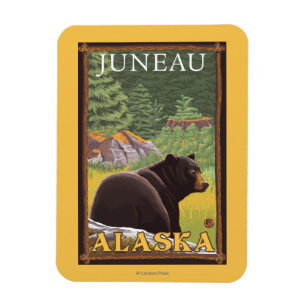 Black Bear in Forest - Juneau, Alaska Magnet