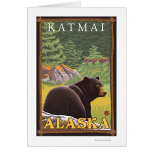 Black Bear in Forest - Katmai, Alaska