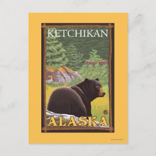 Black Bear in Forest - Ketchikan, Alaska Postcard
