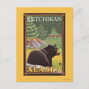 Black Bear in Forest - Ketchikan, Alaska Postcard