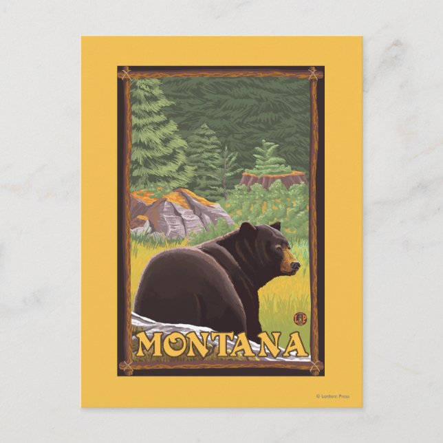 Black Bear in Forest - Montana Postcard (Front)