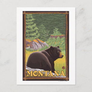Black Bear in Forest - Montana Postcard