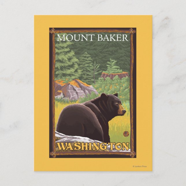 Black Bear in Forest - Mount Baker, Washington Postcard (Front)