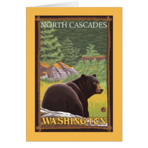 Black Bear in Forest - North Cascades, Washingto