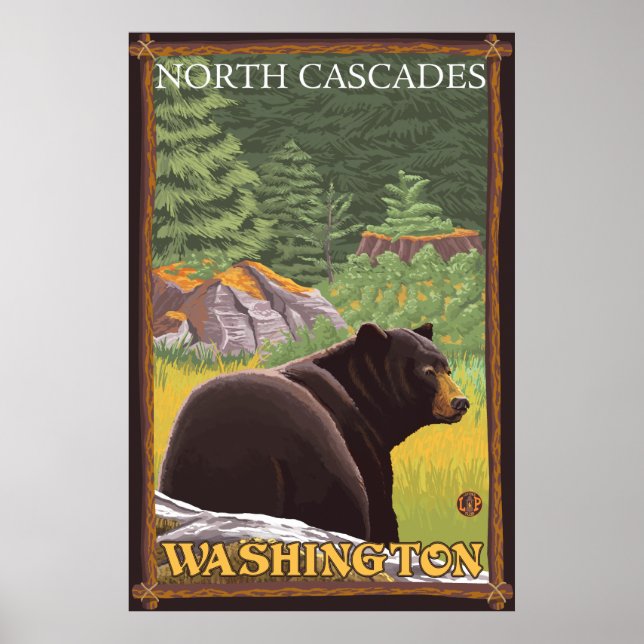 Black Bear in Forest - North Cascades, Washington Poster (Front)