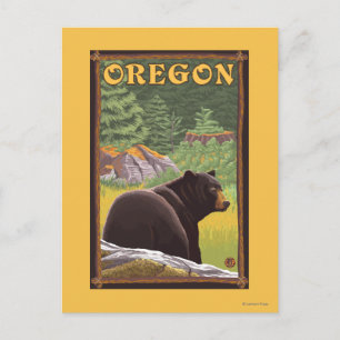 Black Bear in Forest Scene Vintage Travel Postcard