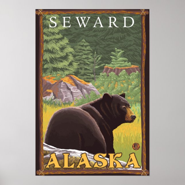 Black Bear in Forest - Seward, Alaska Poster (Front)