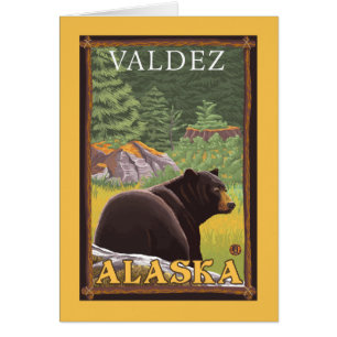 Black Bear in Forest - Valdez, Alaska