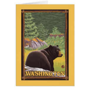 Black Bear in Forest - Washington
