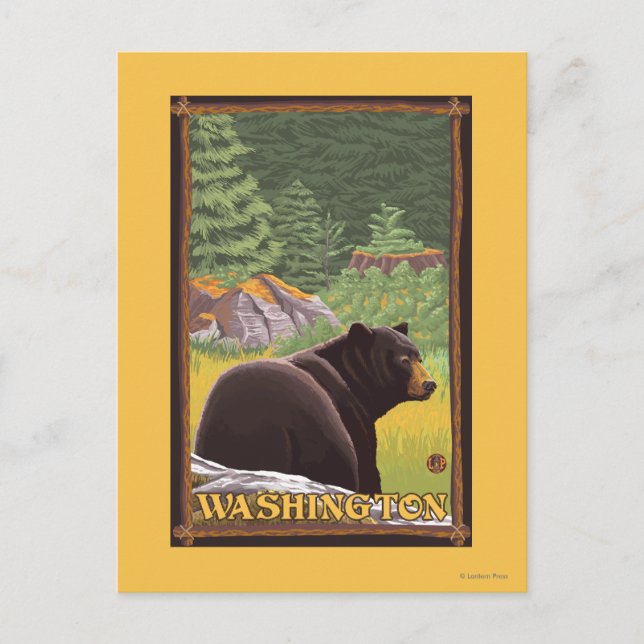 Black Bear in Forest - Washington Postcard (Front)