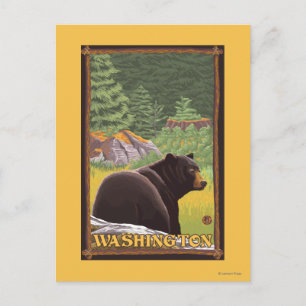 Black Bear in Forest - Washington Postcard