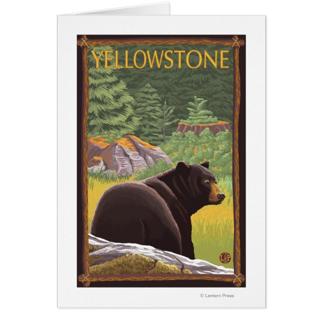 Black Bear in Forest - Yellowstone National Park (Front)