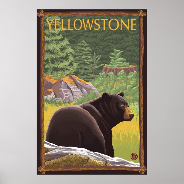 Black Bear in Forest - Yellowstone National Park Poster (Front)