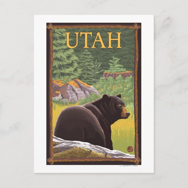 Black Bear in ForestUtah Postcard (Front)