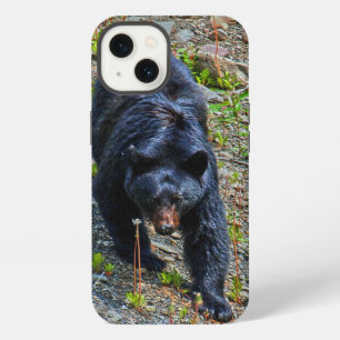 Black Bear in Yukon Wilderness Wildlife Photo iPhone 13 Case