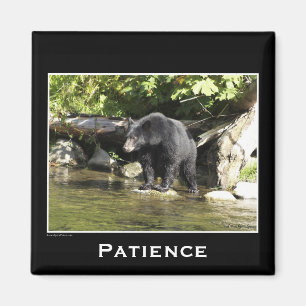 Black Bear Motivational Magnets