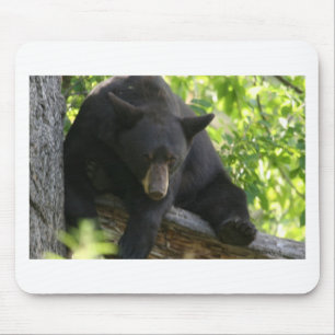 black bear mouse pad