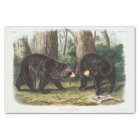 Black Bear of North America (1845) Decoupage