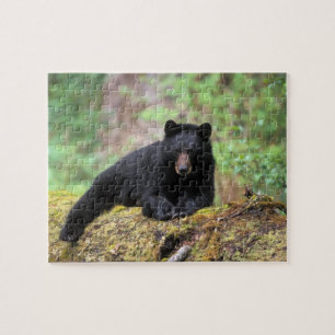 Black bear on an old growth log in the jigsaw puzzle