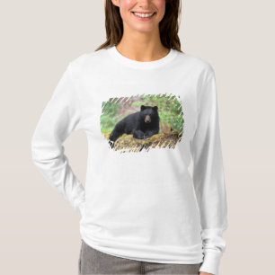 Black bear on an old growth log in the T-Shirt