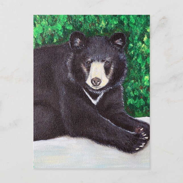 Black Bear Painting Postcard (Front)