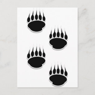 Black Bear Paw Prints Postcard