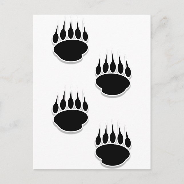 Black Bear Paw Prints Postcard (Front)