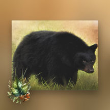 Black Bear Photo Art  Canvas