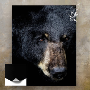 Black Bear Profile Poster