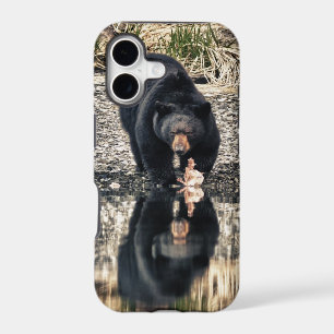 Black Bear Reflections