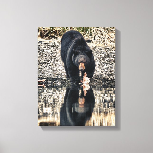 Black Bear Reflections Canvas Print (Front)