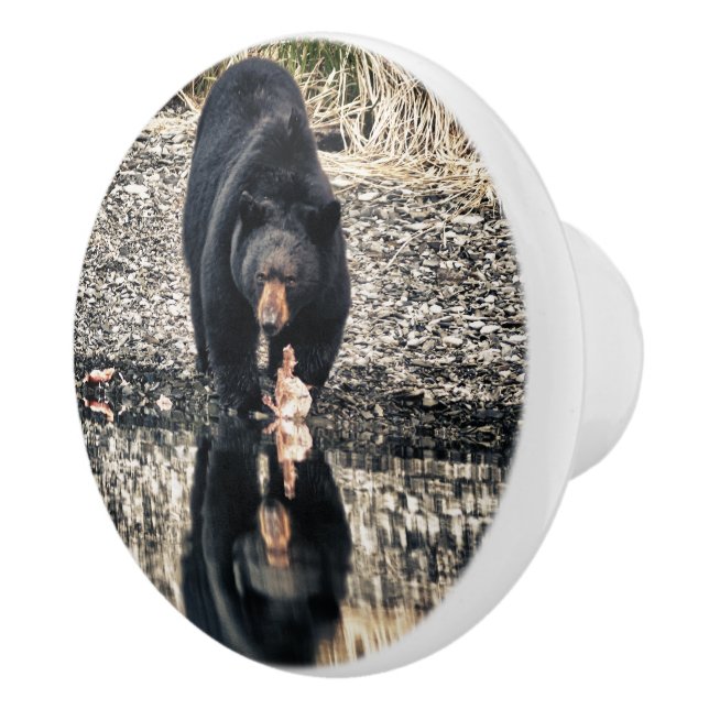 Black Bear Reflections Ceramic Knob (Right)