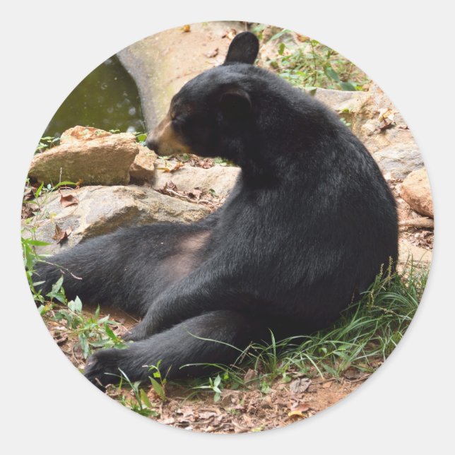 black Bear Round Sticker (Front)