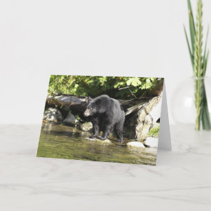 Black Bear "Salmon Spotting" Greeting Card