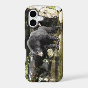 Black Bear "Salmon Spotting" Wildlife iPhone Case