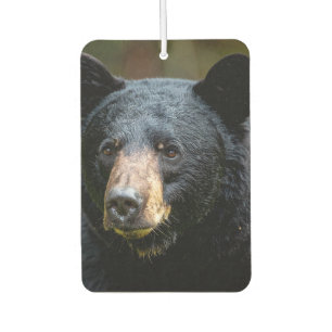 Black bear Sign Car Air Freshener