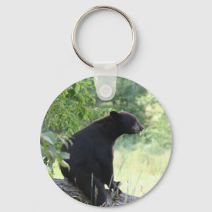 black bear sitting in tree key ring