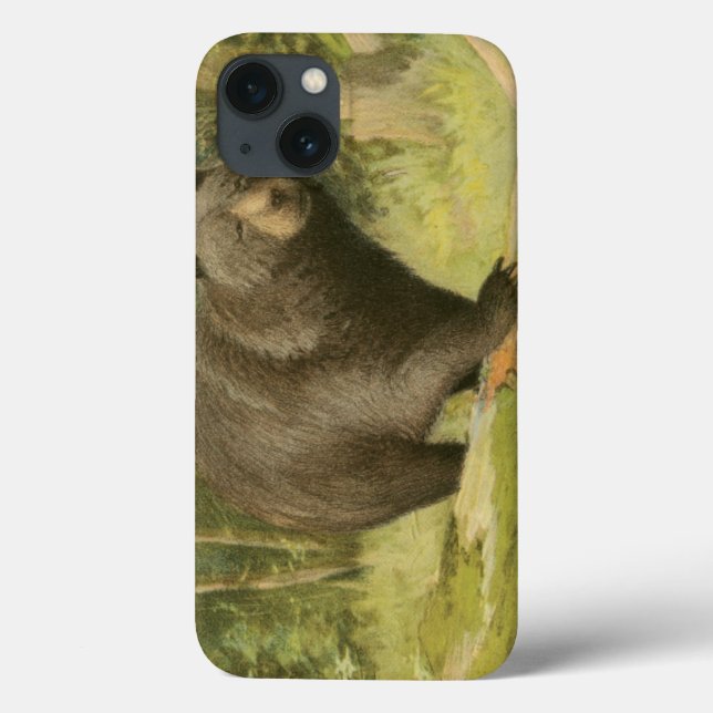 Black Bear Stepping on a Tree Trunk Case-Mate iPhone Case (Back)